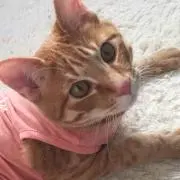 URi❤︎の画像
