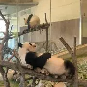 みこ　プロフご覧くださいの画像