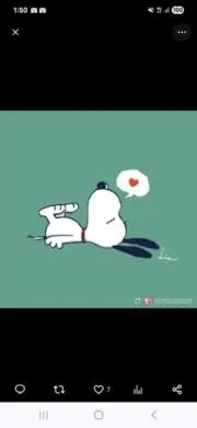 うーちゃんの画像