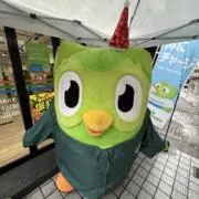 サマーの画像