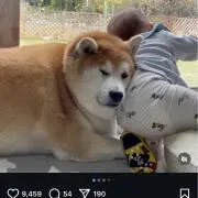 New Group