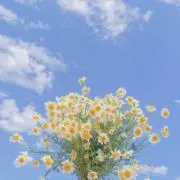mokoの画像