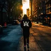 Alan Walkerの画像