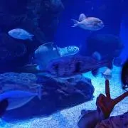 yuppie⭐︎の画像