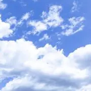 ゆう 断捨離中❣️ 即購入大歓迎❣️の画像