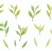 otyaの画像