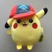カンナの画像