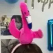 グの画像