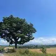 s ❤︎の画像