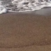 エミアの画像