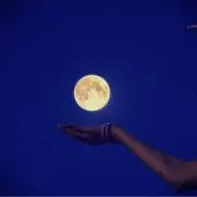 レイの画像