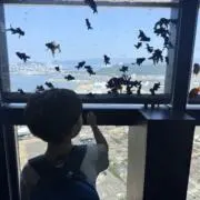 ナビの画像