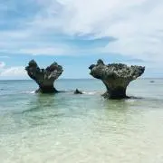 さっちゃんの画像