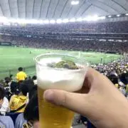 ぴよの画像