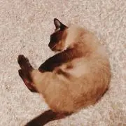 そまり
