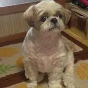 あーちゃん