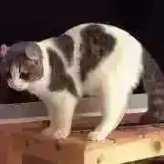 ni おまとめ購入で割引中✨の画像