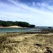 hassaku