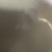 an...の画像