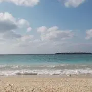 ひろりん