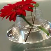まやの画像