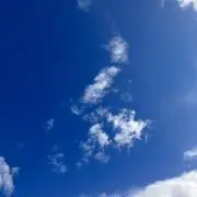 ちびの画像