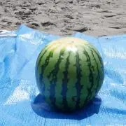 8899の画像
