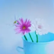 さくらんぼ☺️