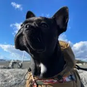 haruの画像