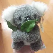 こあら47の画像