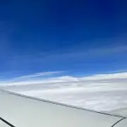 OYの画像
