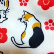 oasis0325の画像