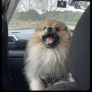 しっちゃんの画像