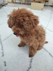 モンチU^ェ^U