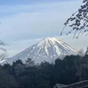 プスピタの画像