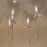 non ~の画像