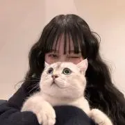 ゆの画像