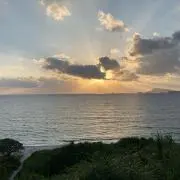 ララ