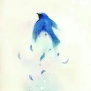 しまちの画像
