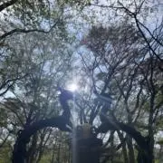 プロフィール必須の画像