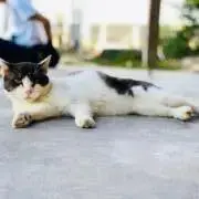 しょーた丸