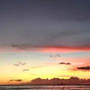 hauoliの画像