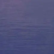 ぶんの画像