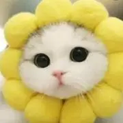 tee　即購入 大歓迎です(￣∇￣)ノ