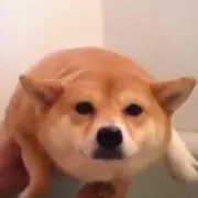 Betty.A プロフ必読の画像