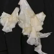 emuの画像