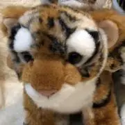 Mの画像