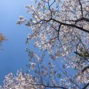 かん