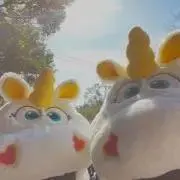 nonchiの画像
