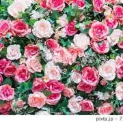 Yuki⭐️即購入大歓迎♡